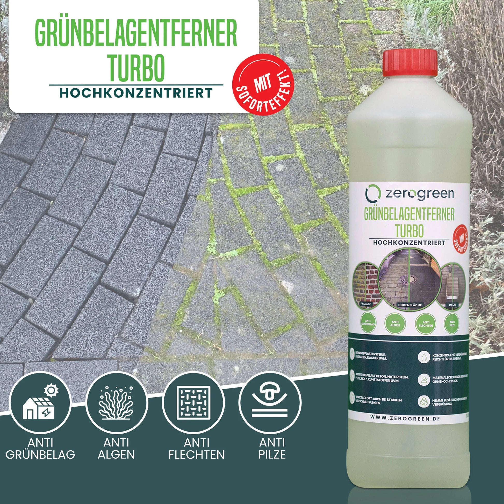 zerogreen® Grünbelagentferner Turbo | Anti Algen, Grünspan, Flechten mit Sofort-Effekt | Konzentrat