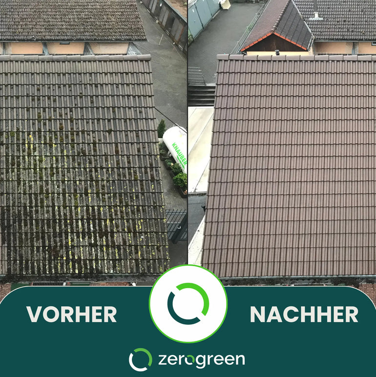 zerogreen® Grünbelagentferner Turbo | Anti Algen, Grünspan, Flechten mit Sofort-Effekt | Konzentrat