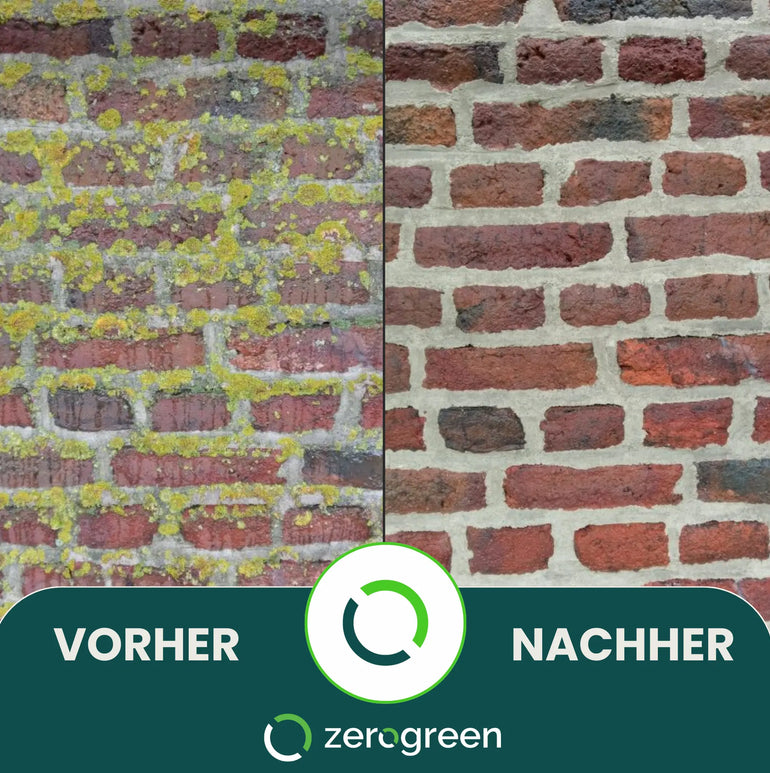 zerogreen® Grünbelagentferner Turbo | Anti Algen, Grünspan, Flechten mit Sofort-Effekt | Konzentrat