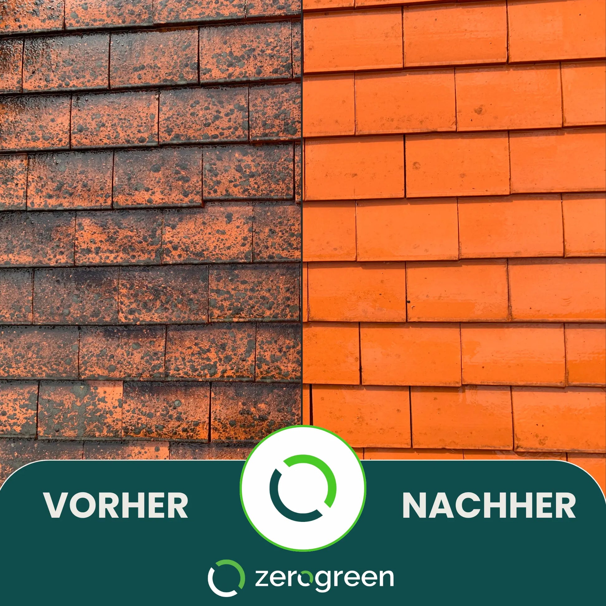 zerogreen® Grünbelagentferner mit Langzeitschutz | Anti Algen, Grünspan, Flechten | Konzentrat