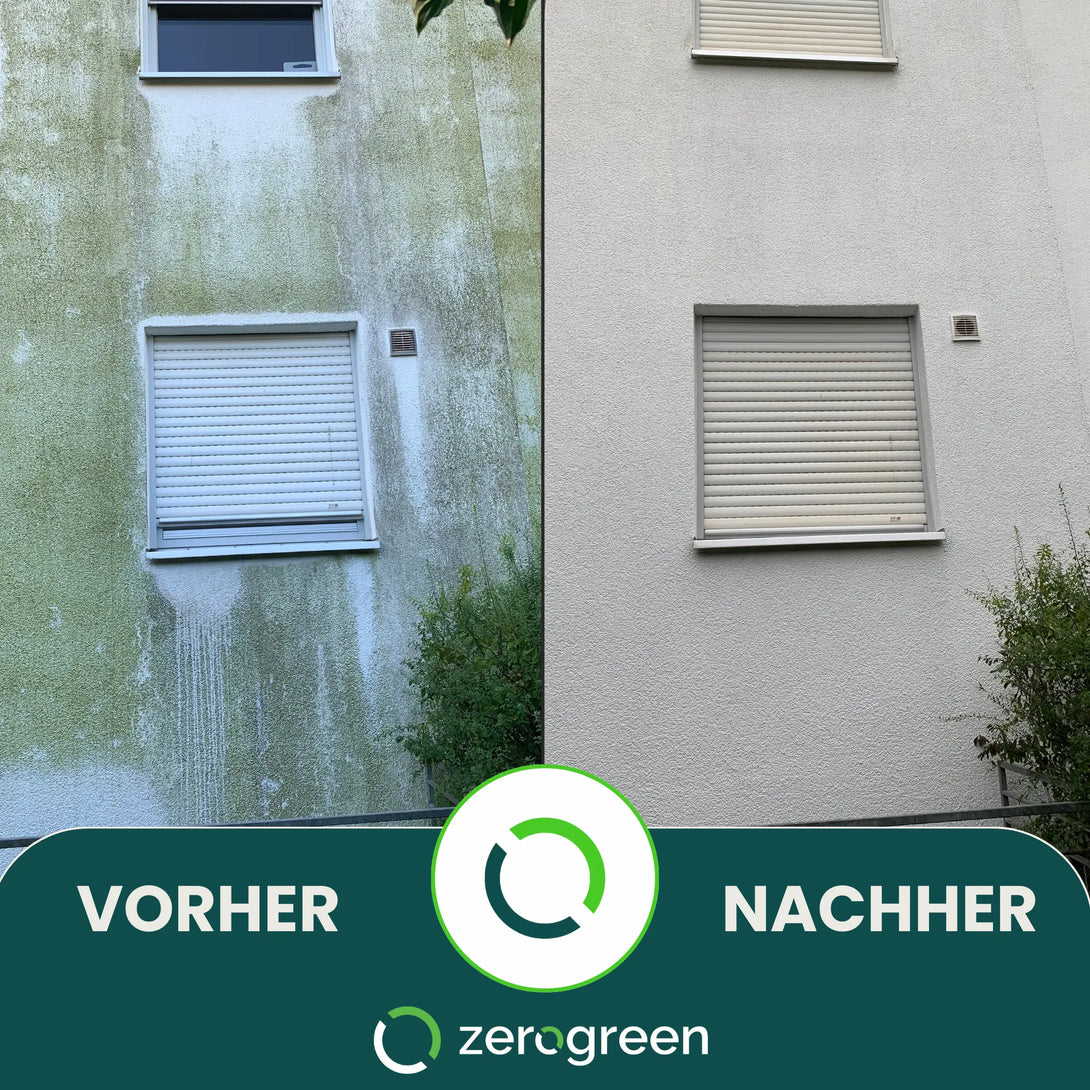 Grünbelag an der Fassade entfernen: 4 Hausmittel Grünbelag an der Fassade entfernen: 4 Hausmittel